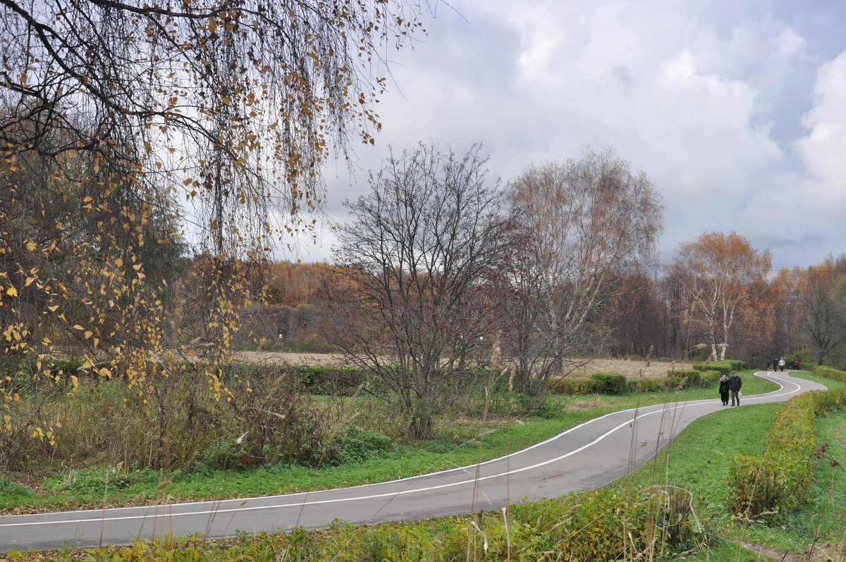 осень в парке - елена 