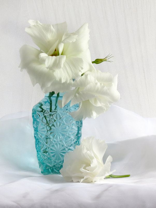 Белые цветы - SaGa 