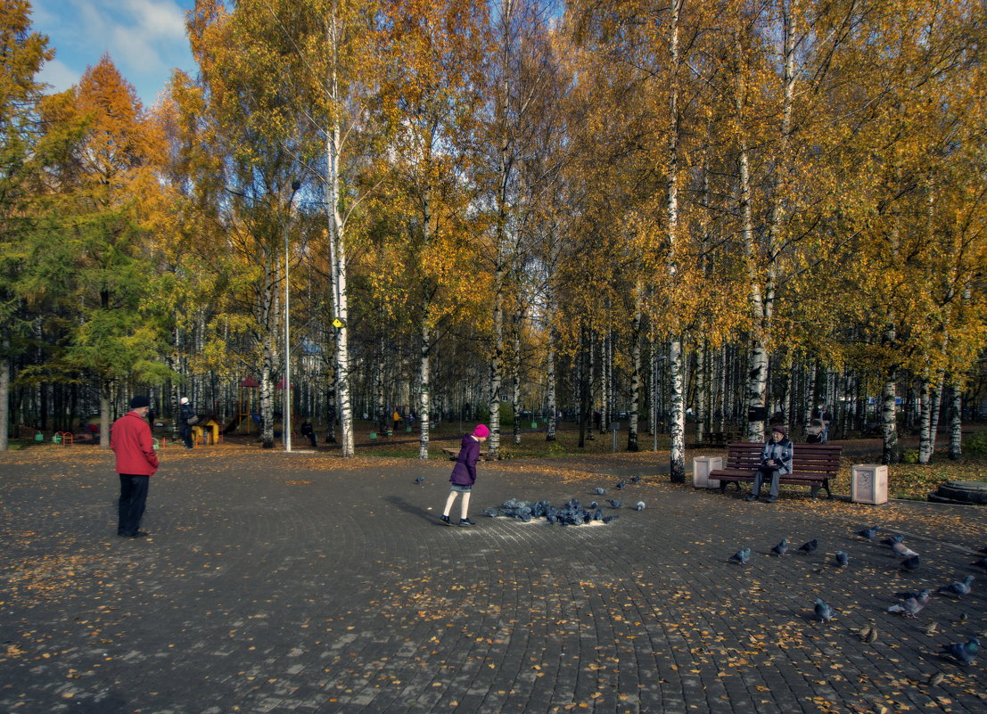 в осеннем парке - gribushko грибушко Николай