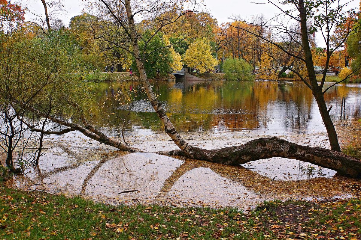 ** - александр 