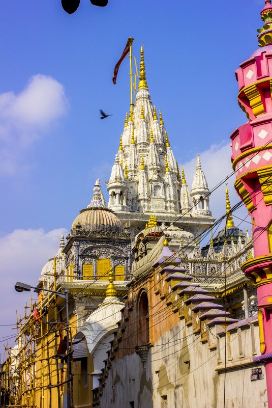 Calcutta Jain Temple - Михаил Юрин