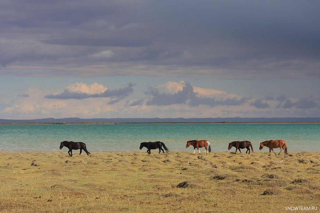 Краски западной Монголии - Дмитрий Сенотрусов