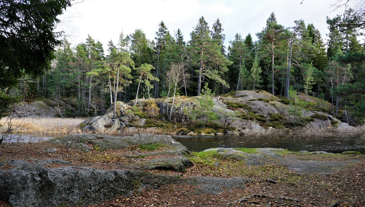 Скалистые берега Швеции - wea *