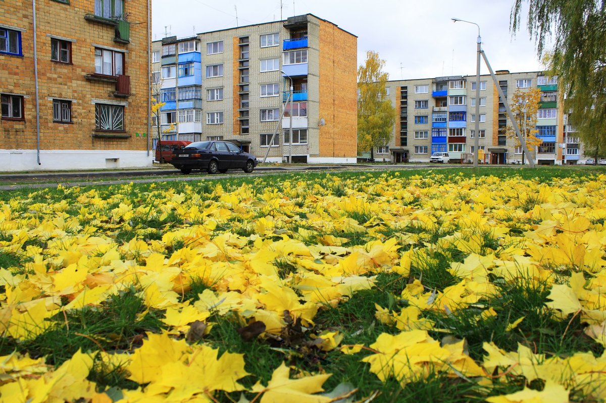 В микрорайоне осень - Василь Веренич