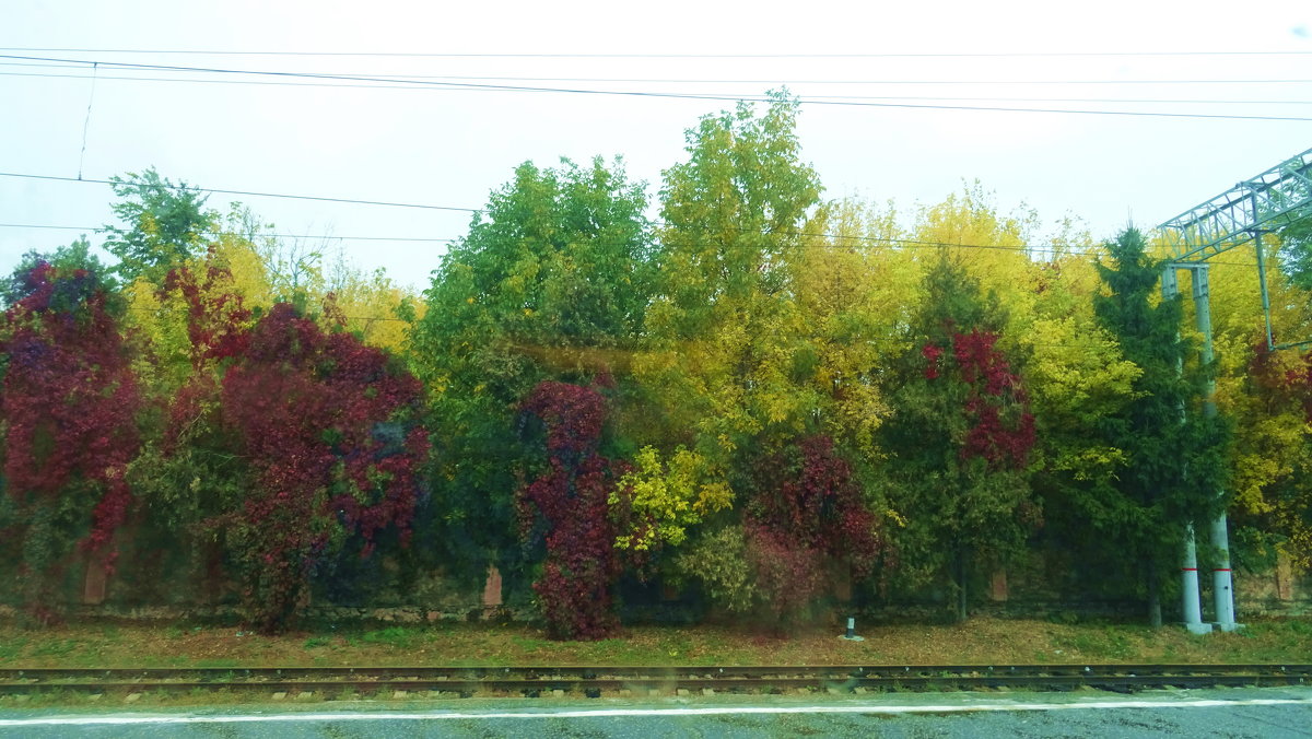 Осень из окна поезда - татьяна 