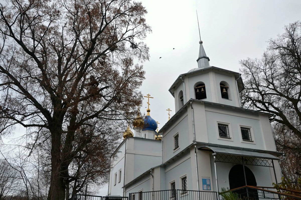 Богородице - Рождественская церковь. - Михаил Столяров