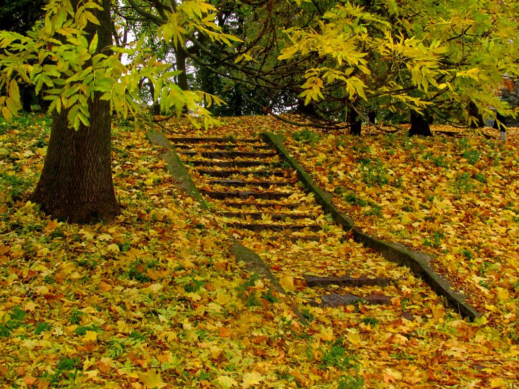 Лестница в Осень - Сергей Карачин
