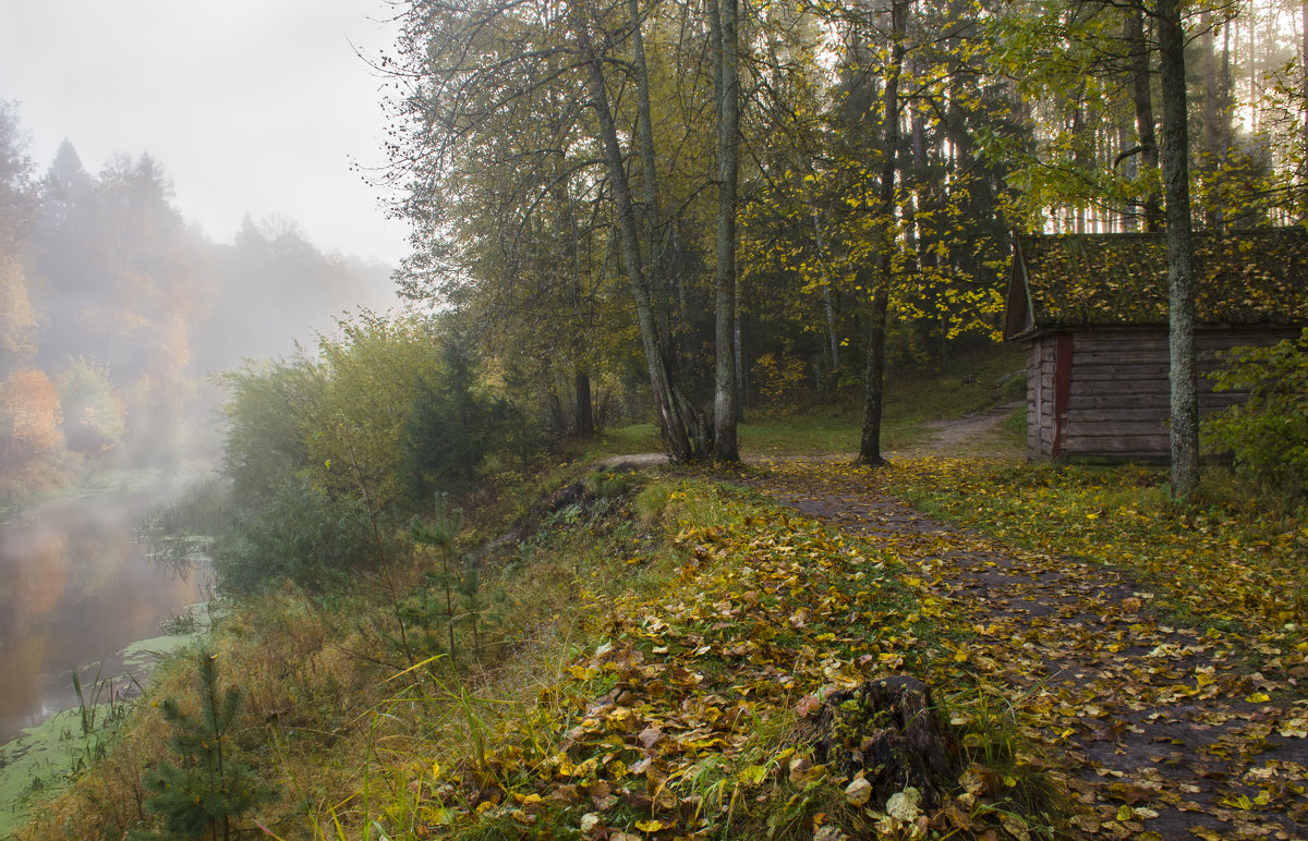 Осень - Лариса Березуцкая