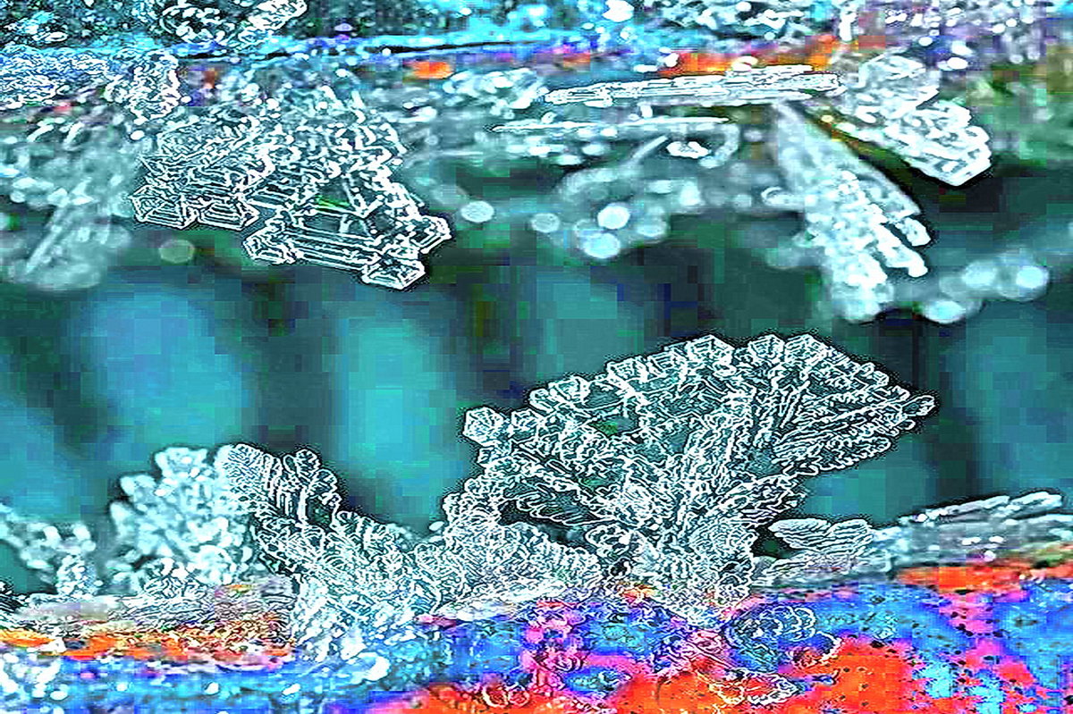 Кораллы на стекле - irina Schwarzer 
