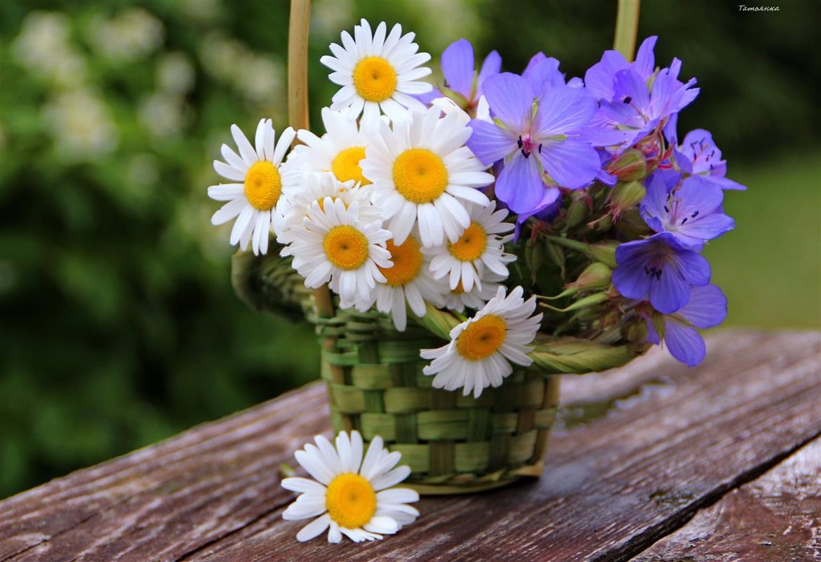 Пожелания на день с летними цветочками