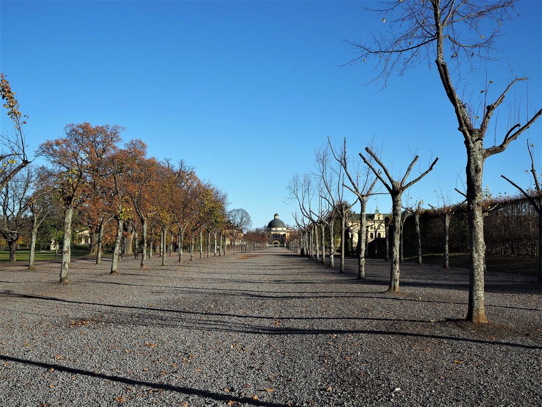 Drottningholm осенний парк - wea *