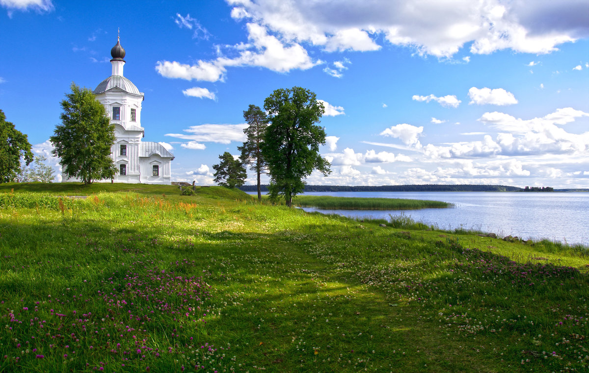 Дорога - Мария Богуславская