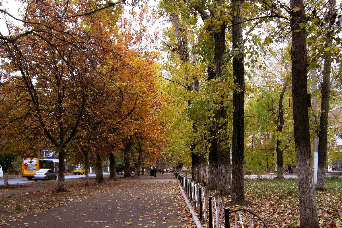 Прогулки по осеннему городу ( 2 ) - Людмила 