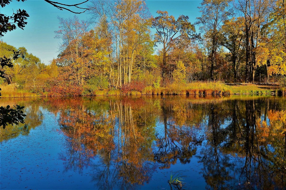 Осенние отражения на Ламском пруду... - Sergey Gordoff