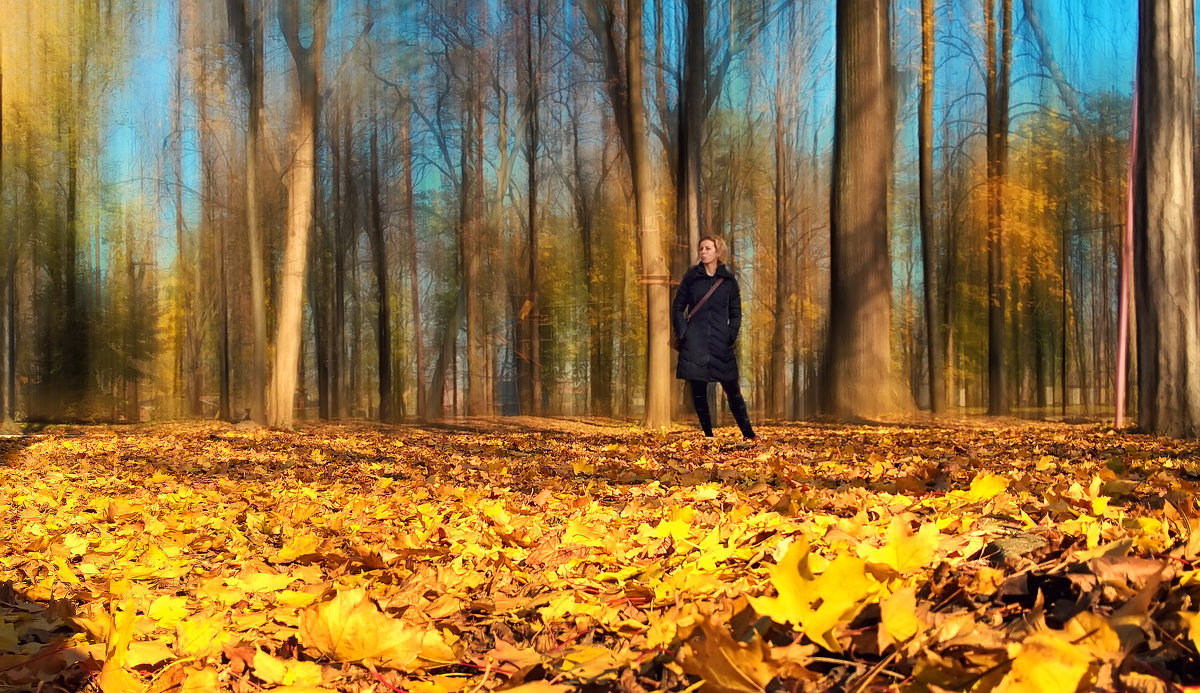 В осеннем парке - Сергей Форос