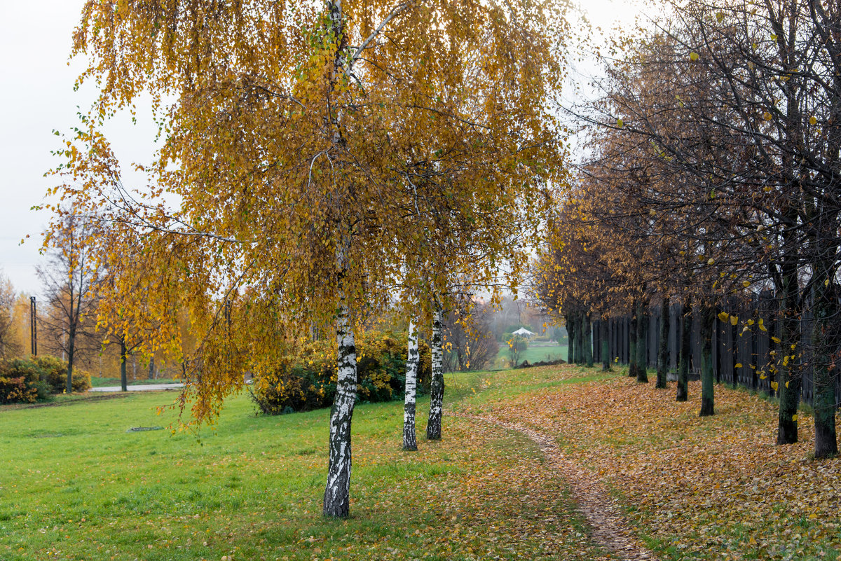 В парке. - Владимир Безбородов