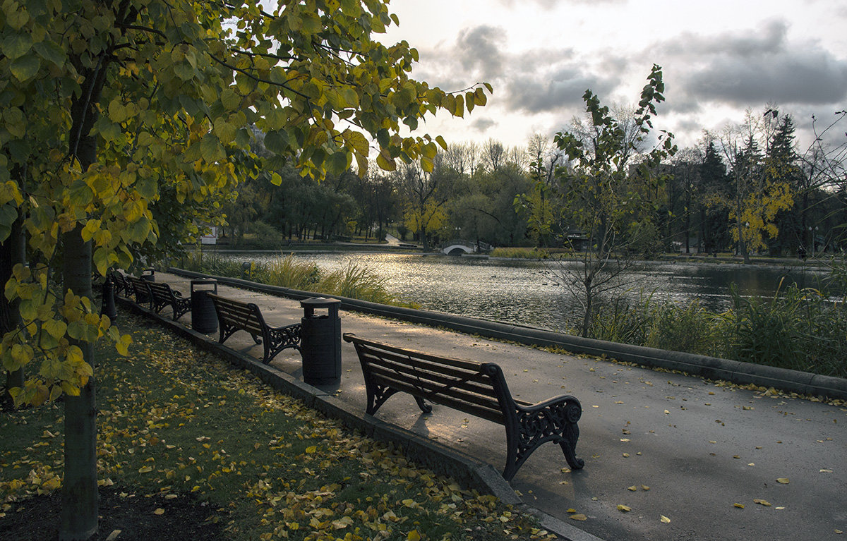 Осенний парк - Игорь Егоров