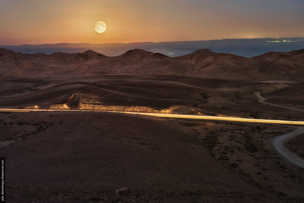 Ночь в пустыне - Пила Дотошная