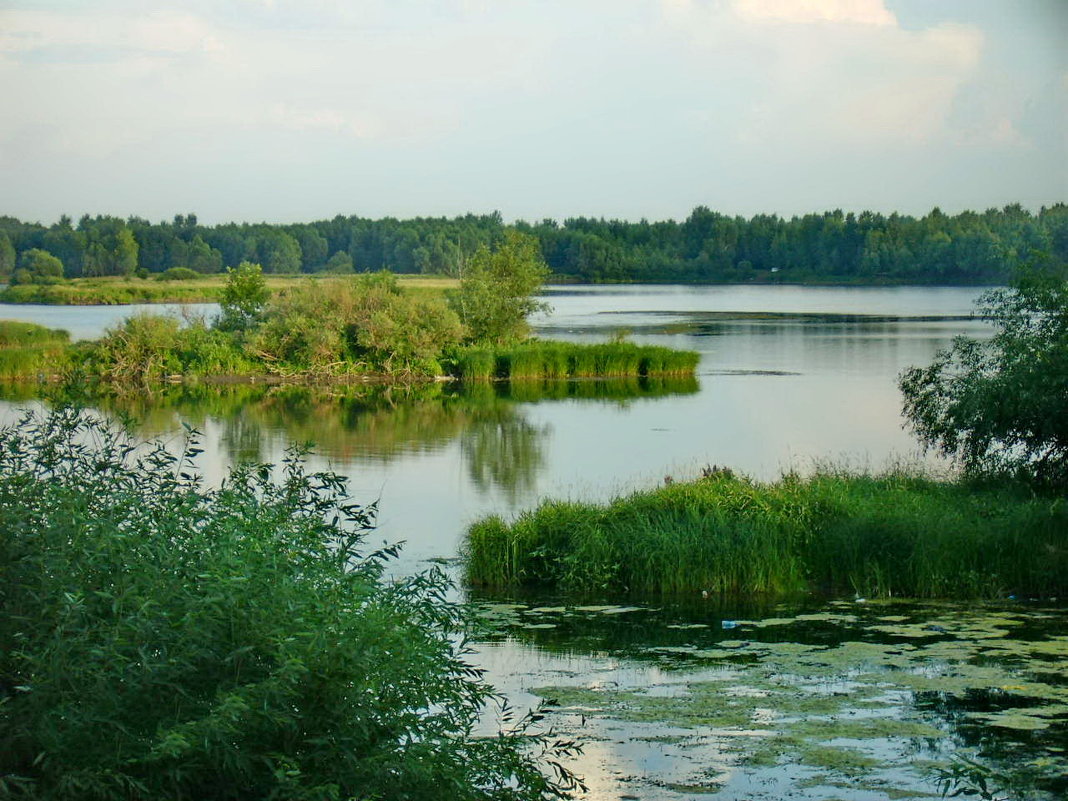 Самара,река Самара - Ольга Зубова