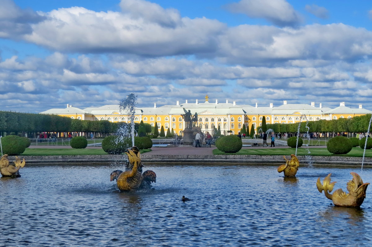 Бассейн Верхнего парка Петергофа - Светлана Петошина