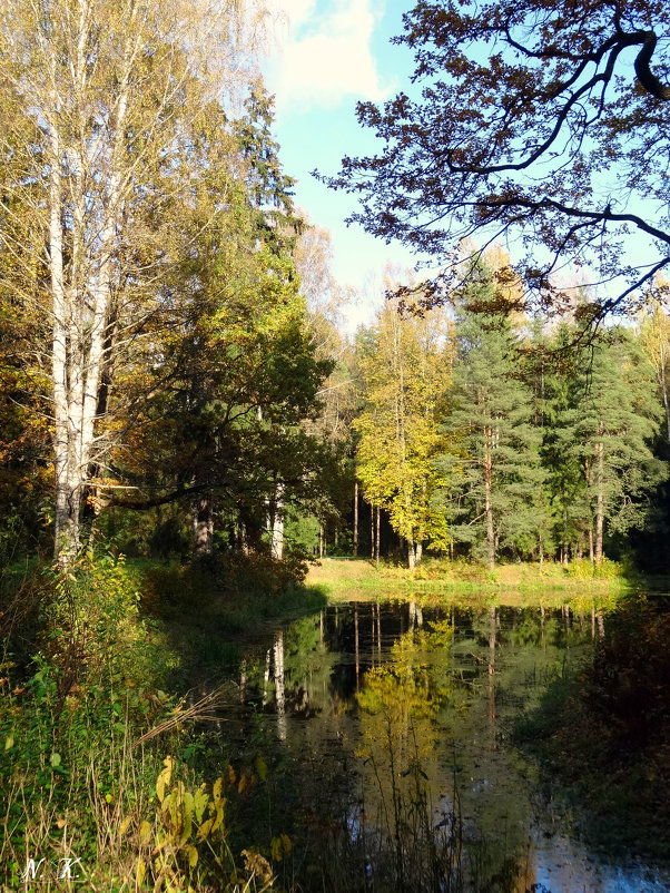 Павловск - Наталия Короткова