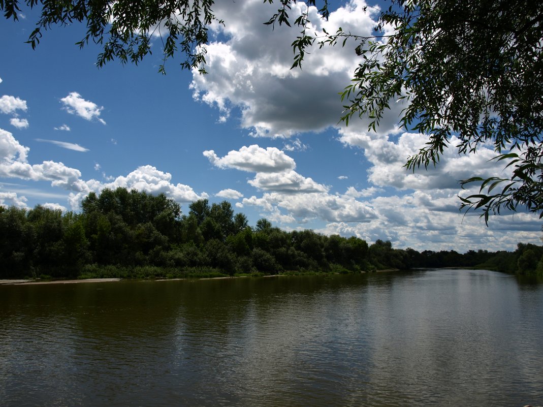 В реку смотрятся облака - Василь Веренич