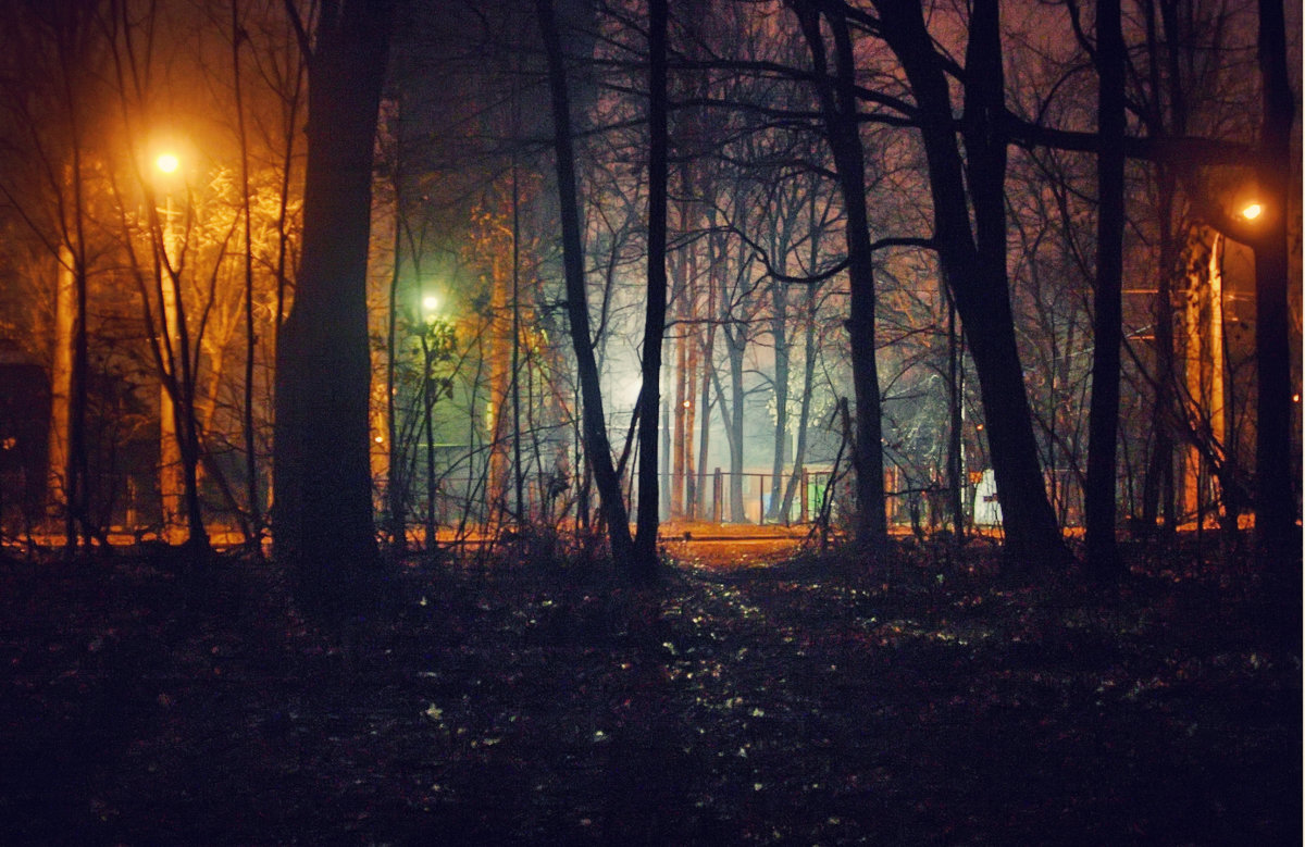 из лесу в городской туман - Paul B. 