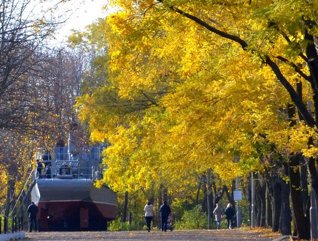 ПРЕКРАСНОЙ ОСЕНИ КРАСОТЫ - Анатолий Восточный