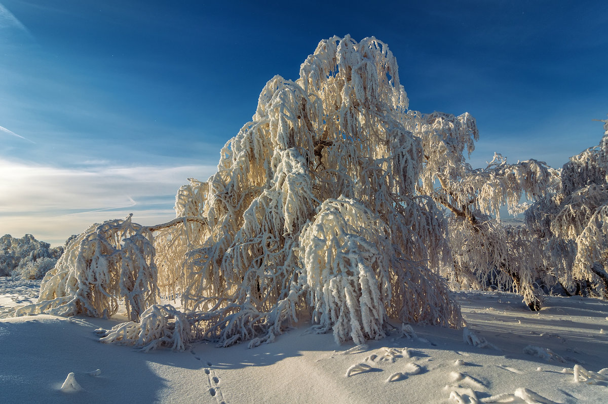 *** - Андрей Лепилин