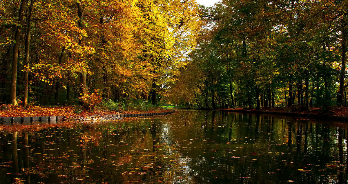 Осень в парке - Alexander Andronik