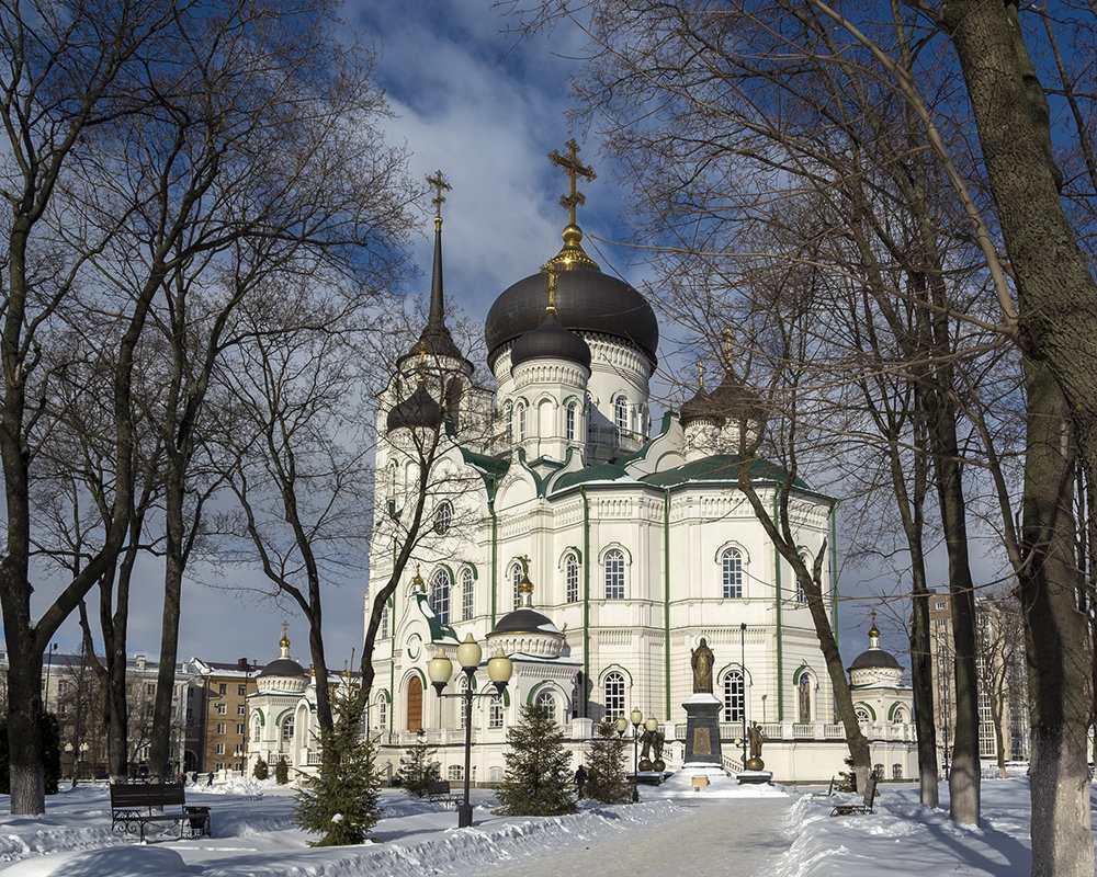 Благовещенский кафедральный собор - Владимир Сырых