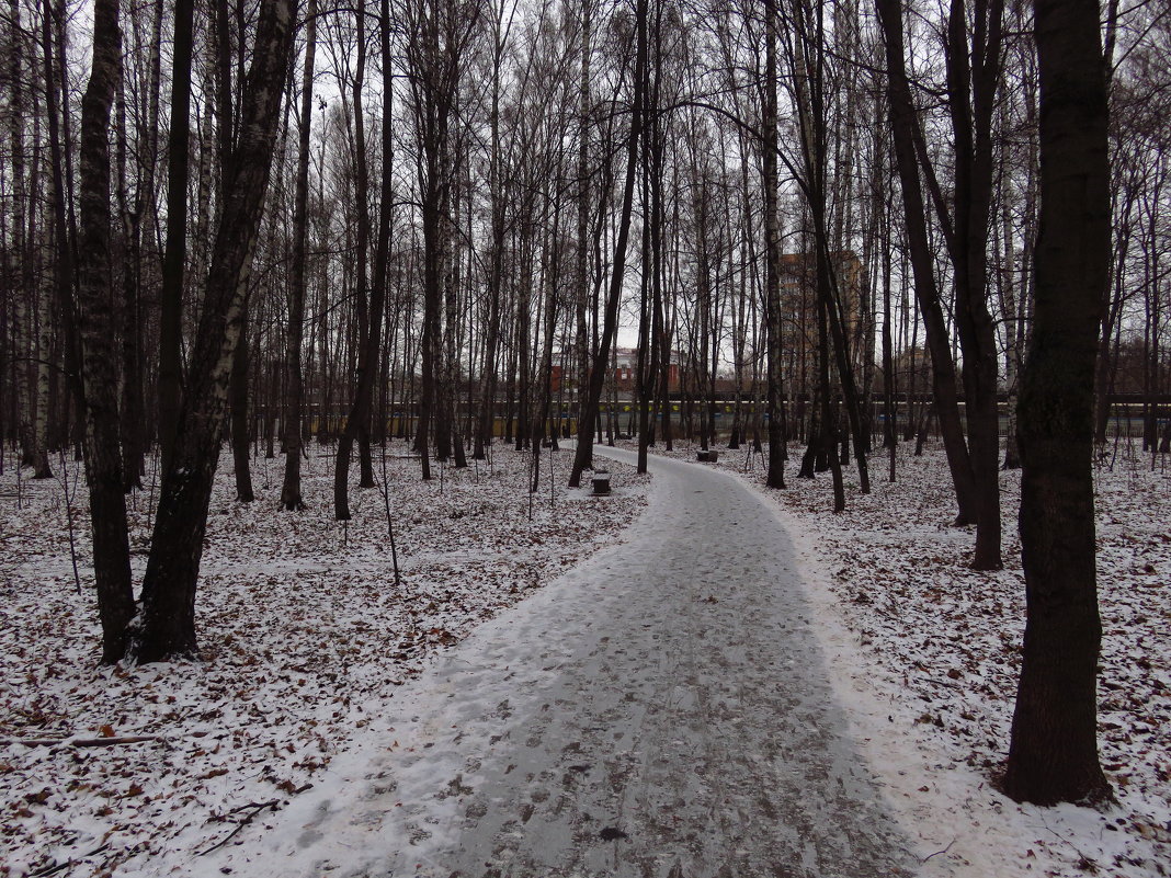 Последний день осени в парке - Андрей Лукьянов