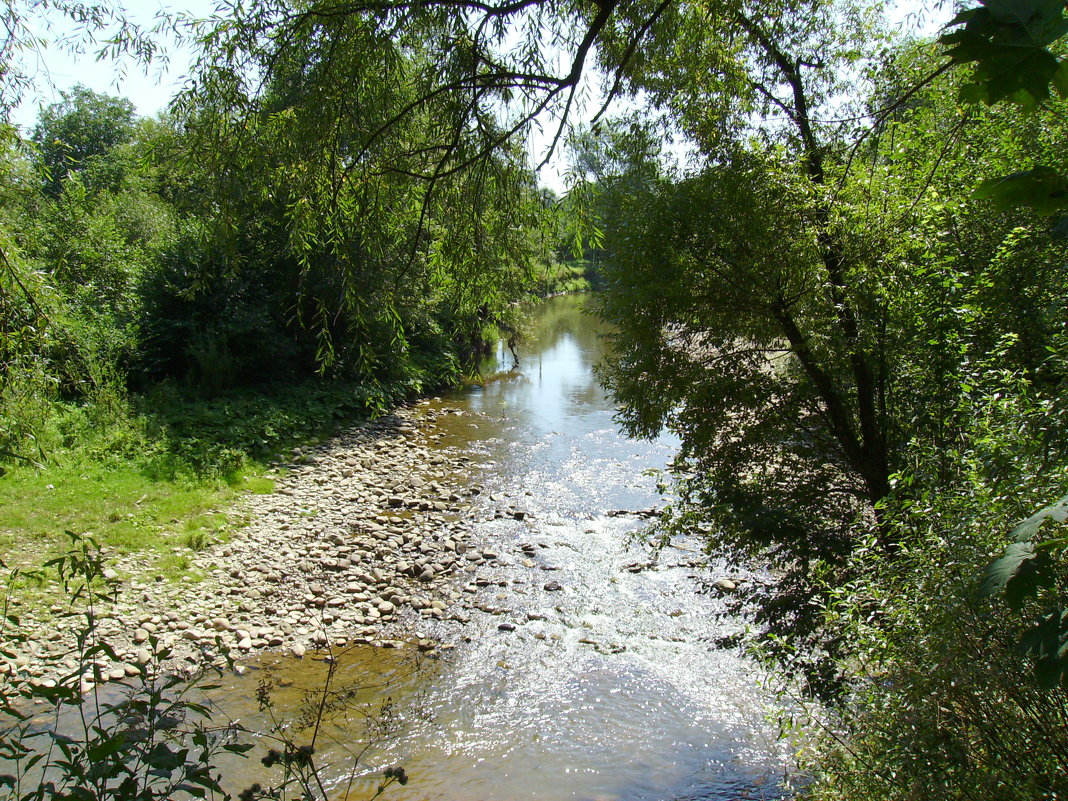 Горная   река   в   Гошиве - Андрей  Васильевич Коляскин