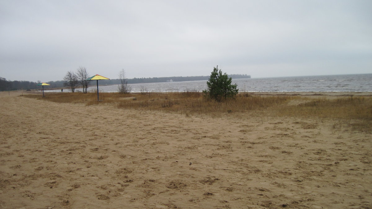 Пляж в ноябре - Маера Урусова