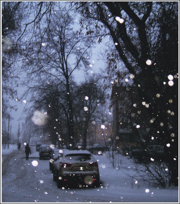 Декабрьский снежок - muh5257 