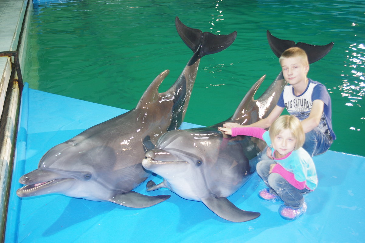 я с дельфином - София 