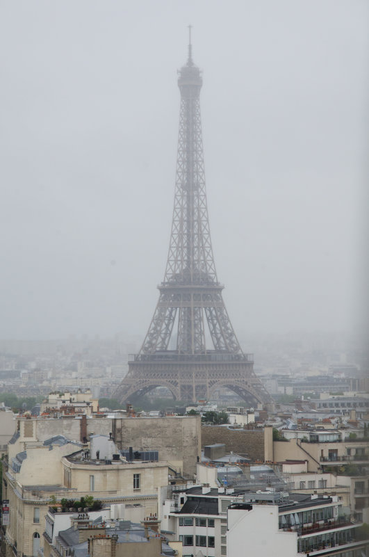 Непогода и туман в Париже - Наталия Л.