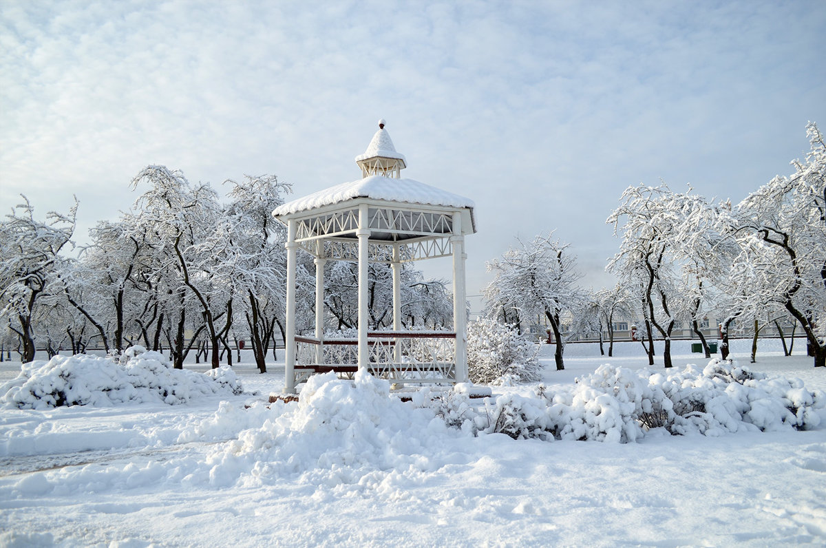 Зимнее утро в Лошицком парке - Галина Сергеевна