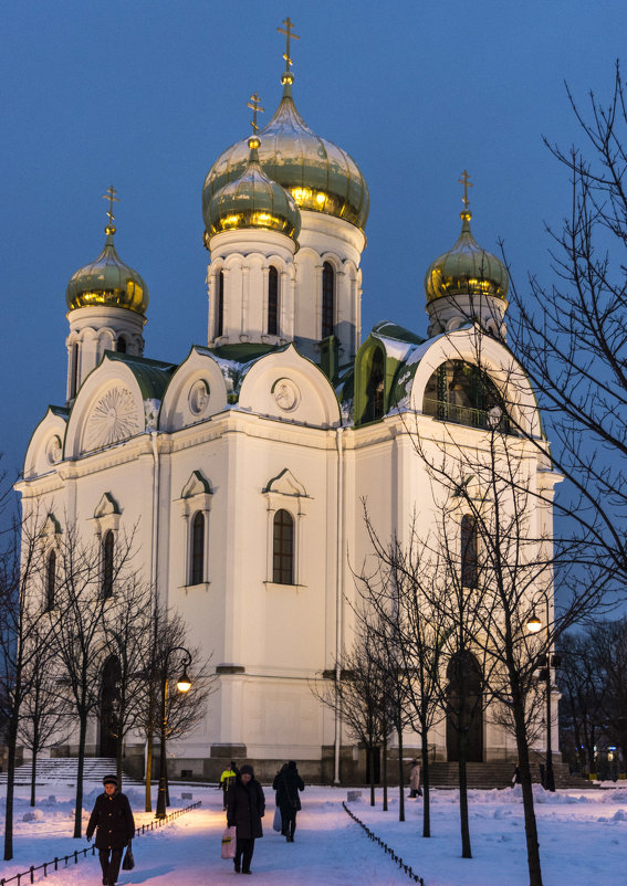 Светится - Александр Петров