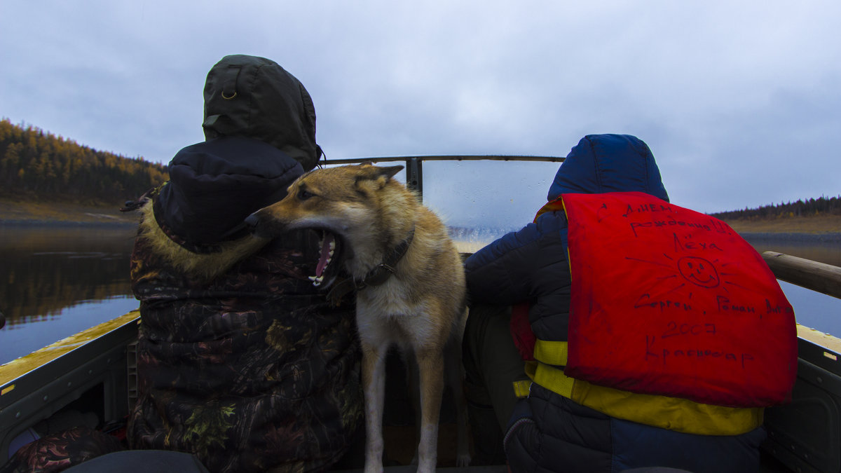 Трое в лодке не считая собаки - Александр Смирнов