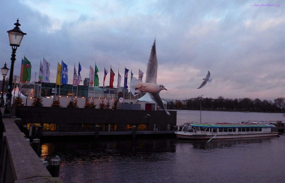 Alster. Hamburg - Nina Yudicheva