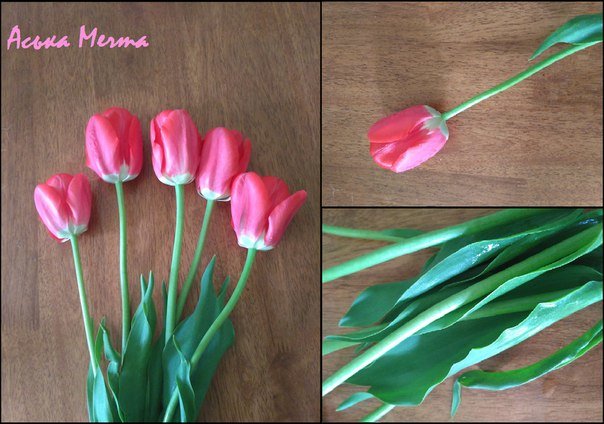 Розовые тюльпаны на столе (коллаж) - Анастасия Дорошенко