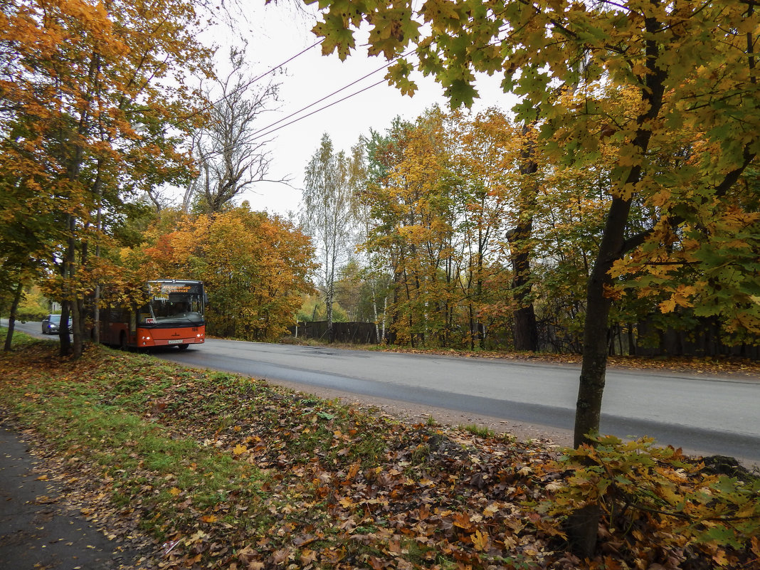 На улицах Выборга. - Лариса (Phinikia) Двойникова