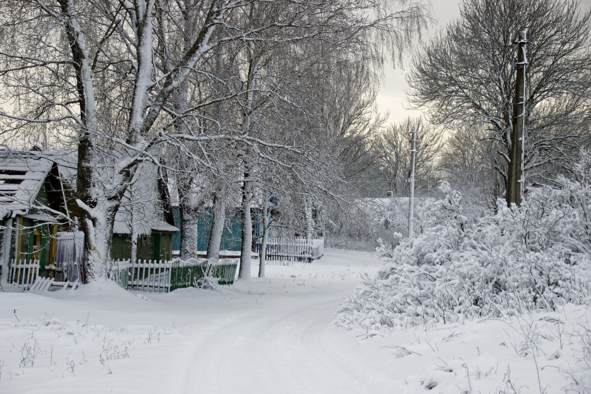 зима в деревне - оксана 