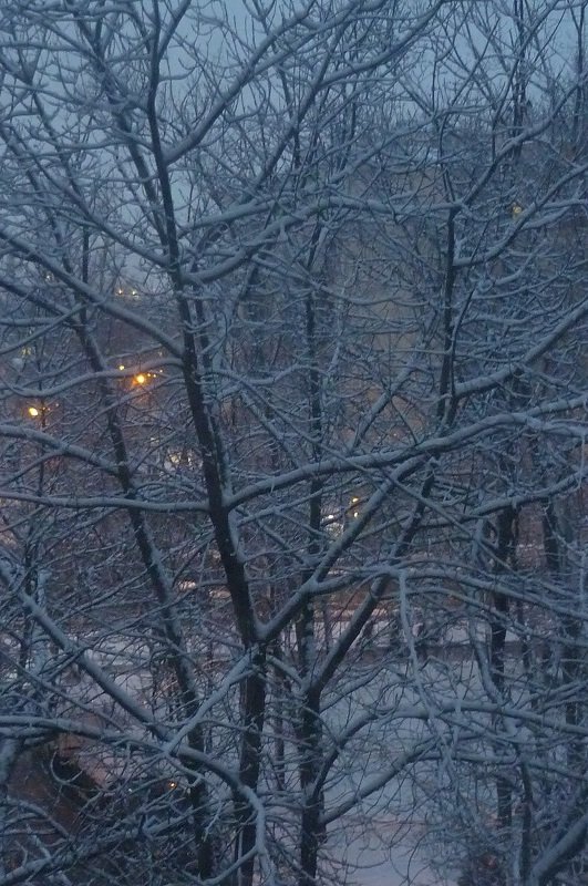 Снежное утро - Татьяна Юрасова