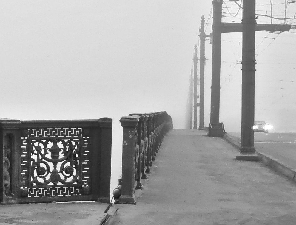 туман на Литейном - Елена 