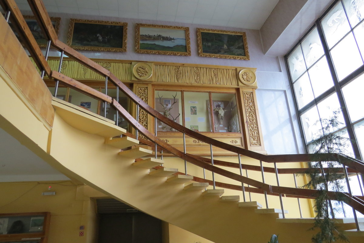 Лестница в музее камней - Вера Щукина