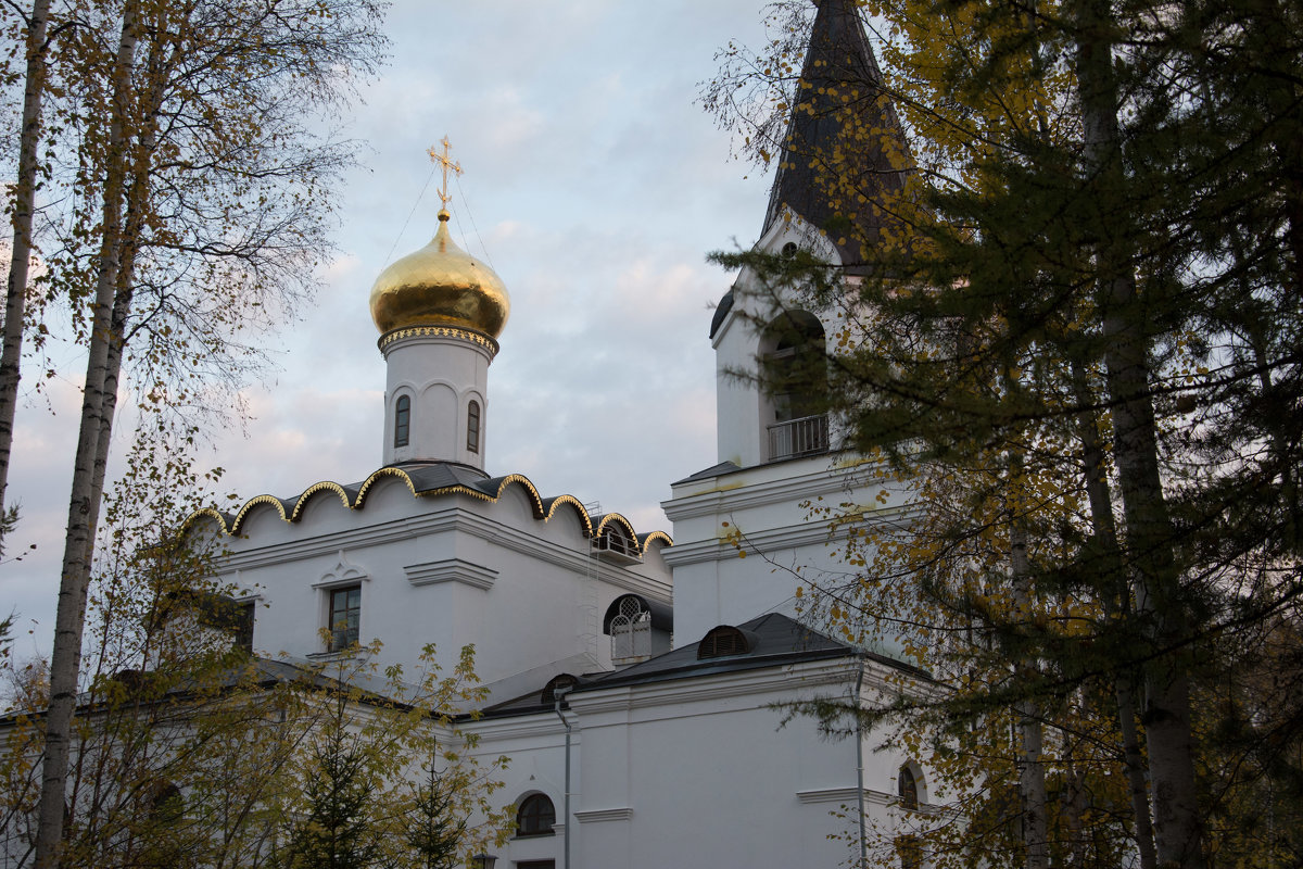 Храм Всех Cвятых, в Земле Российской просиявших - Павел Савенко