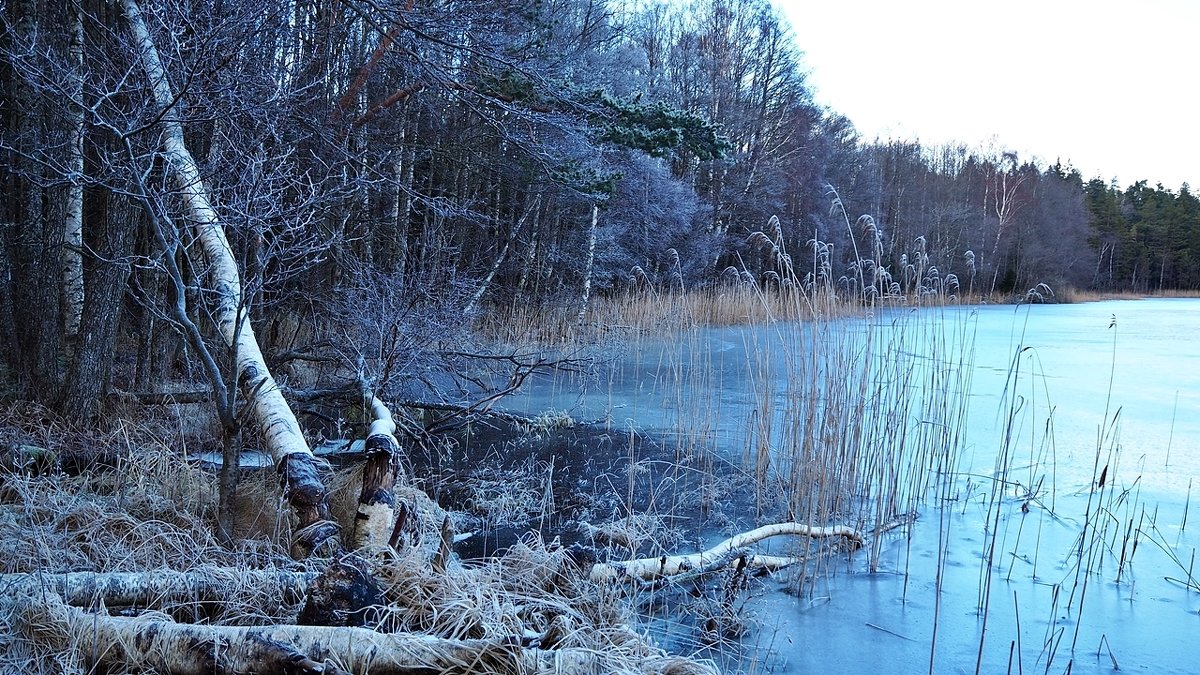 Зимнее озеро - wea *