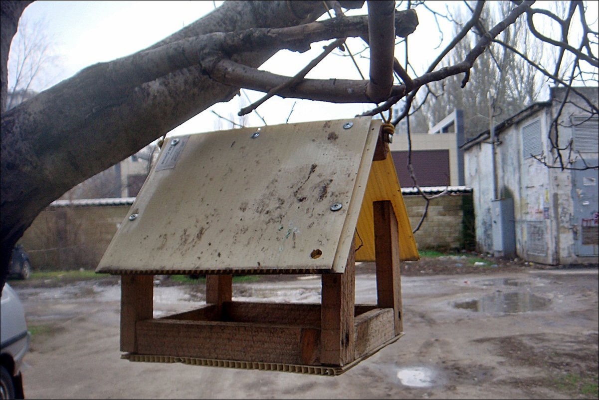 Пустой домик на дереве - Нина Корешкова